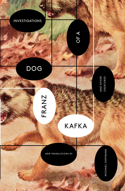 Cover image for book Investigations of a Dog