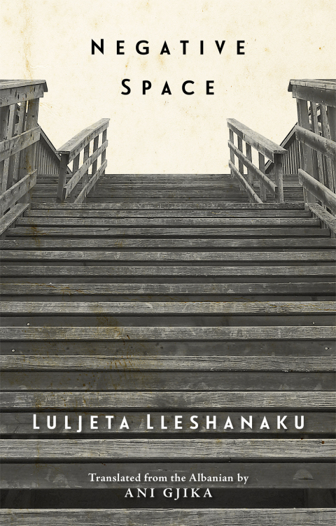Cover image for book Negative Space