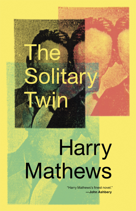 Cover image for book The Solitary Twin