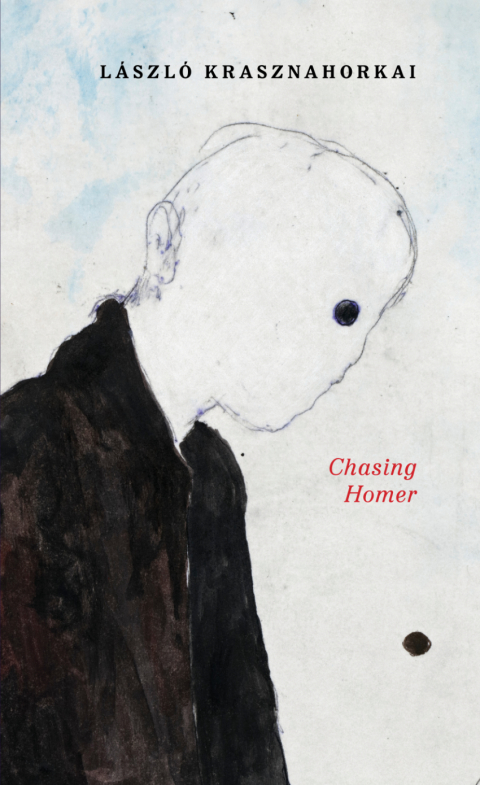 Cover image for book Chasing Homer