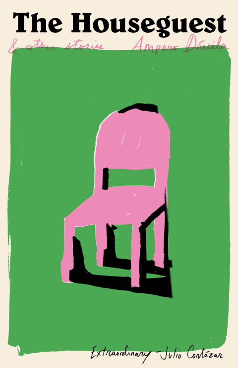 Cover image for book The Houseguest