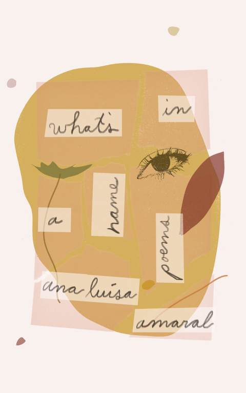 Cover image for book What's in a Name
