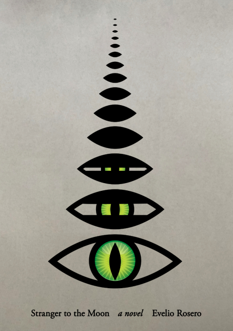 Cover image for book Stranger to the Moon