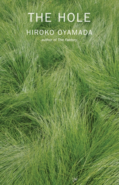 Cover image for book The Hole