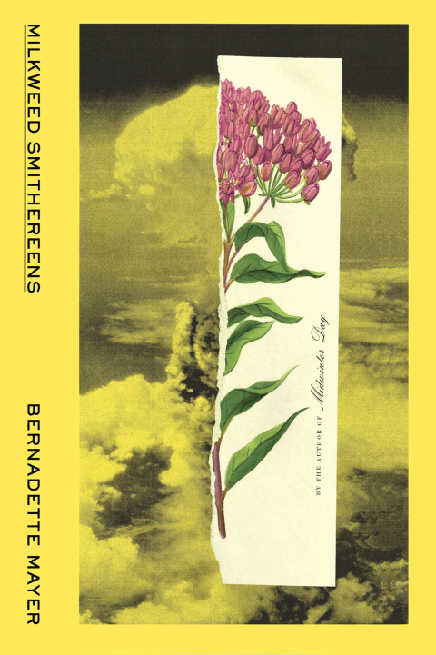 Cover image for book Milkweed Smithereens