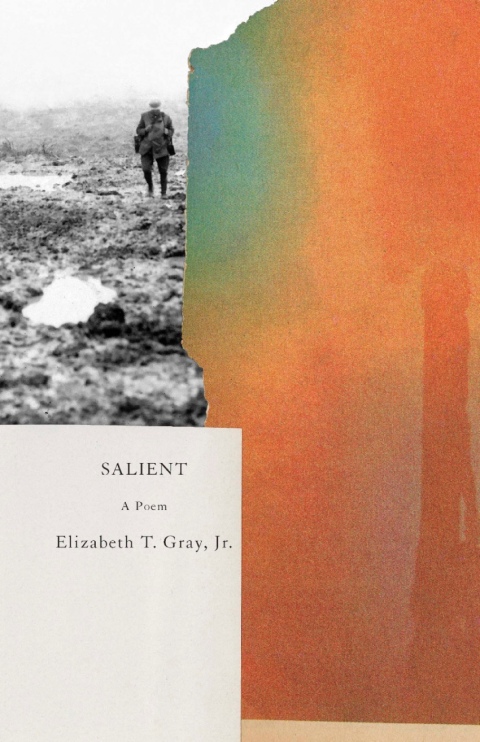 Cover image for book Salient