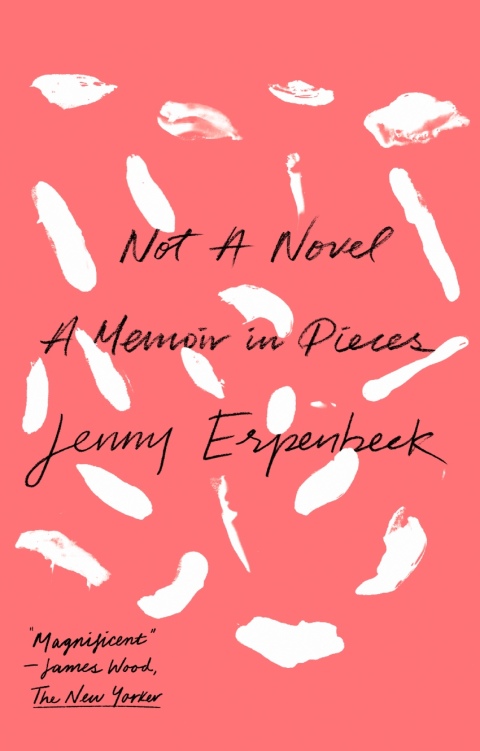 Cover image for book Not a Novel