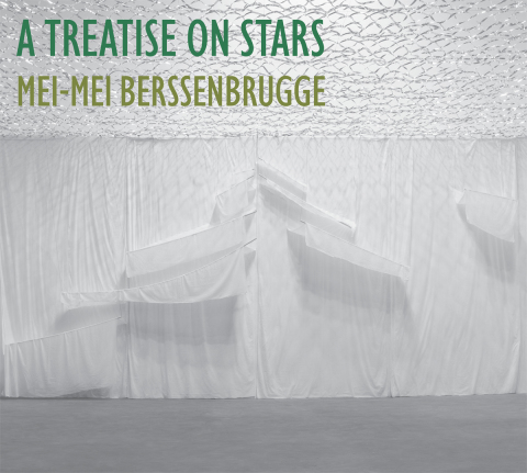 Cover image for book A Treatise on Stars