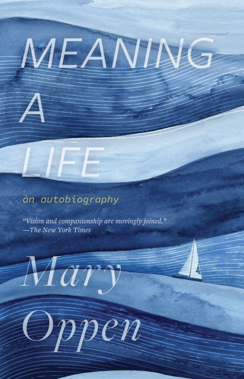 Cover image for book Meaning a Life