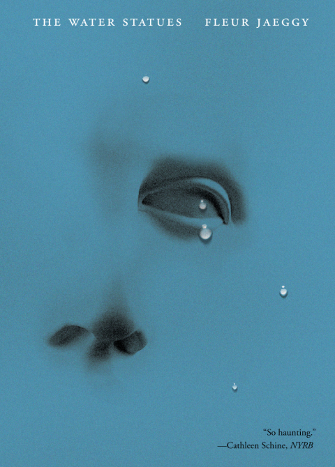 Cover image for book The Water Statues