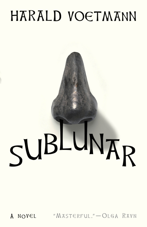 Cover image for book Sublunar