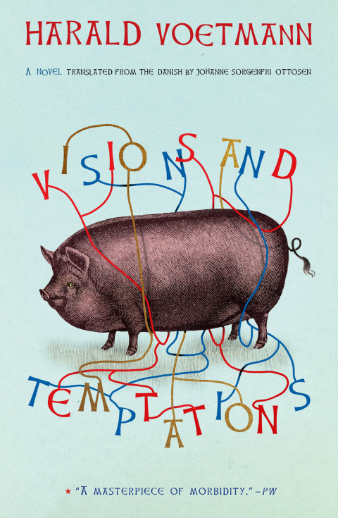 Cover image for book Visions and Temptations