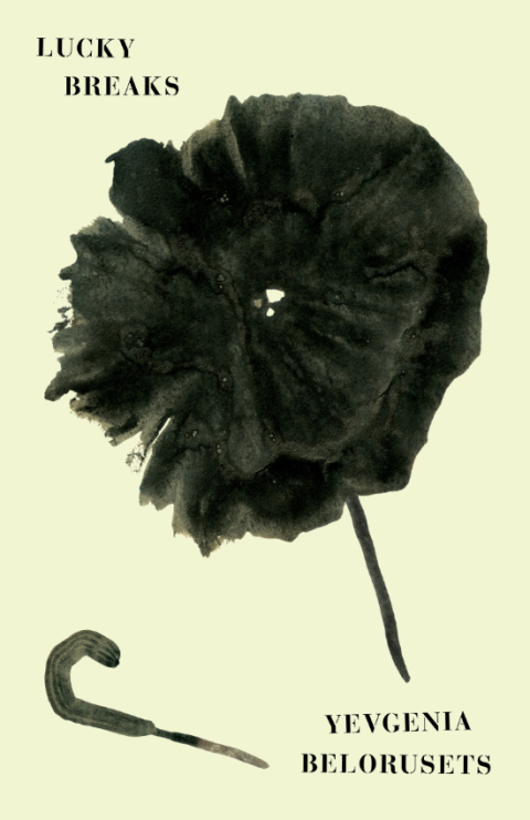Cover image for book Lucky Breaks