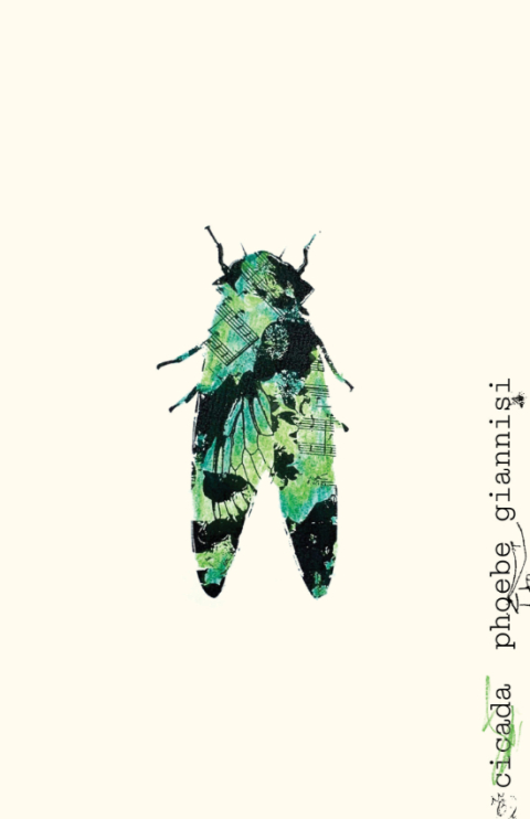 Cover image for book Cicada