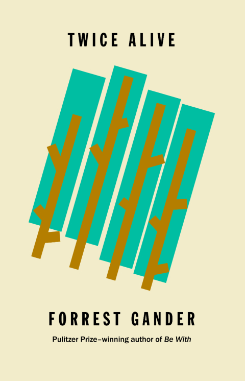 Cover image for book Twice Alive
