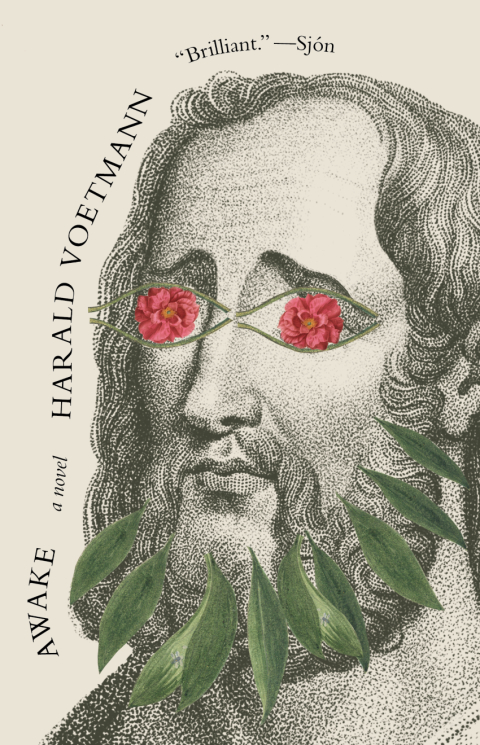 Cover image for book Awake