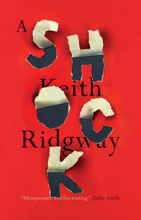 Cover image for book A Shock