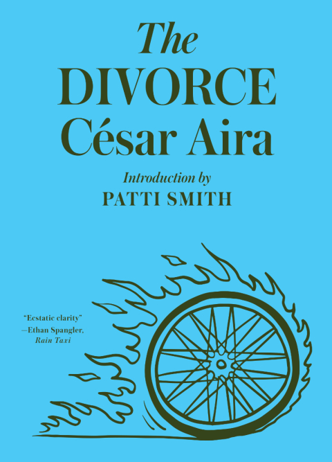 Cover image for book The Divorce