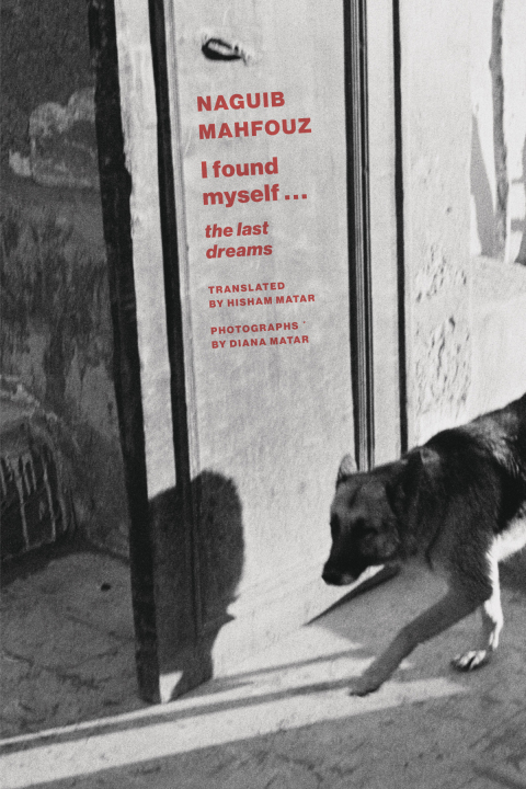 Cover image for book I Found Myself