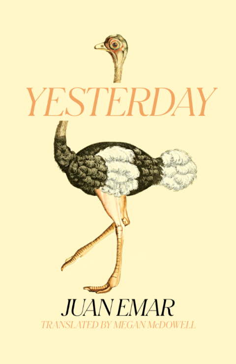 Cover image for book Yesterday