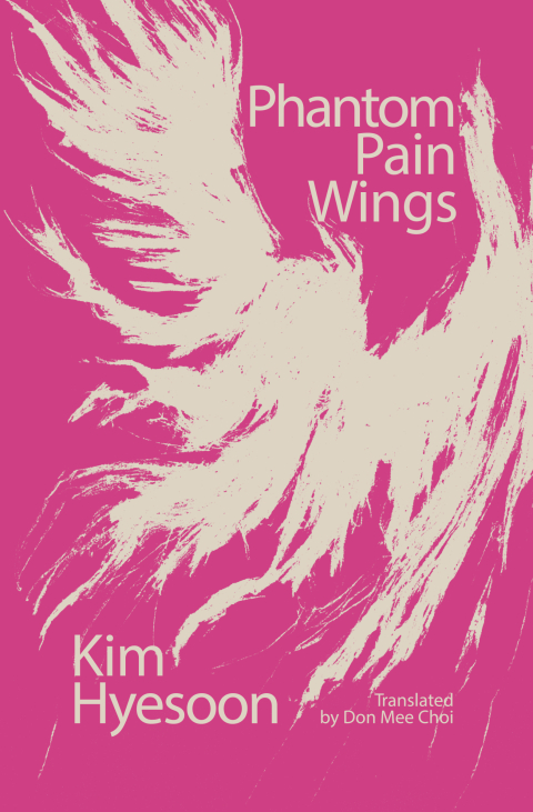 Cover image for book Phantom Pain Wings