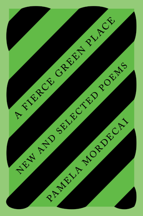 Cover image for book A Fierce Green Place