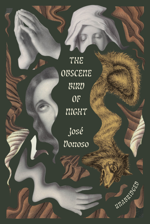Cover image for book The Obscene Bird of Night
