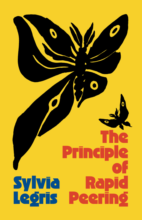Cover image for book The Principle of Rapid Peering