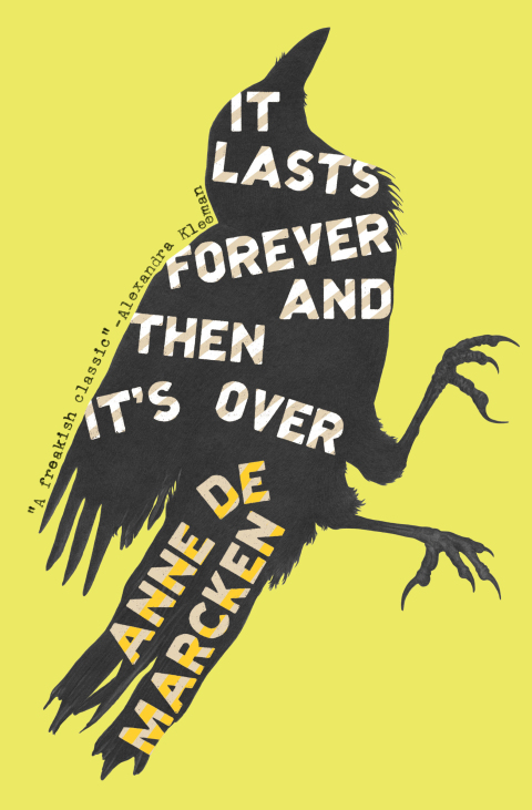 Cover image for book It Lasts Forever and Then It's Over