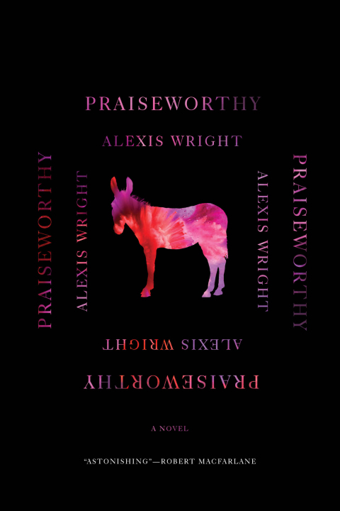 Cover image for book Praiseworthy