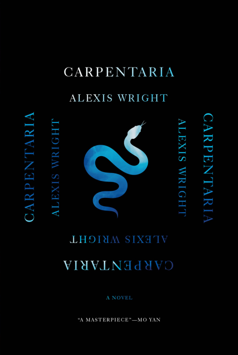 Cover image for book Carpentaria