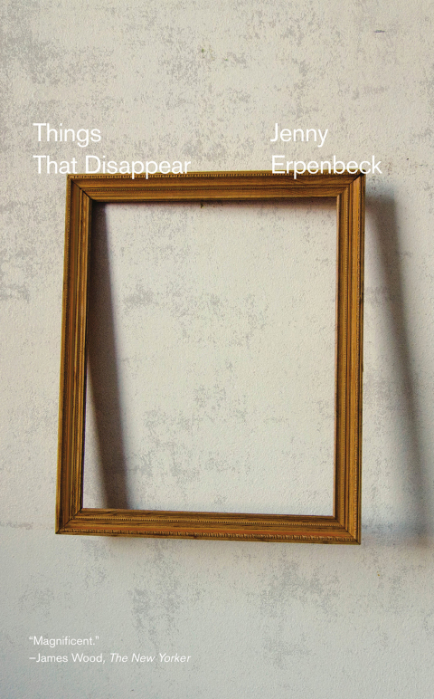 Cover image for book Things That Disappear