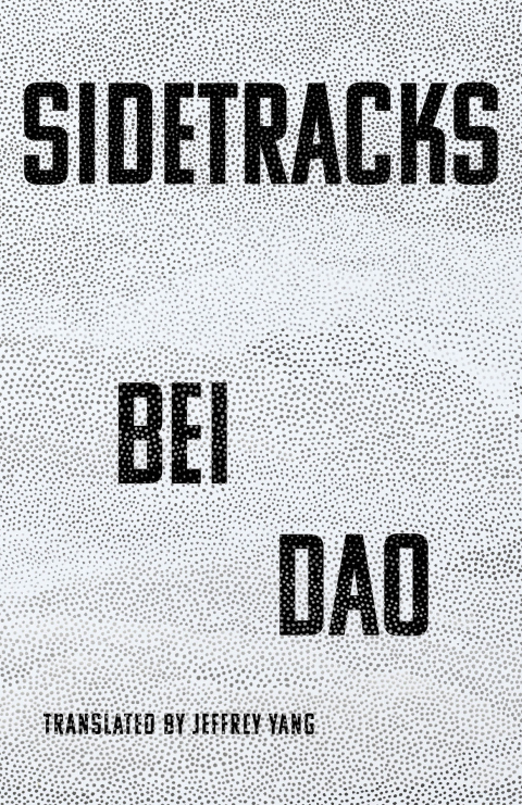Cover image for book Sidetracks