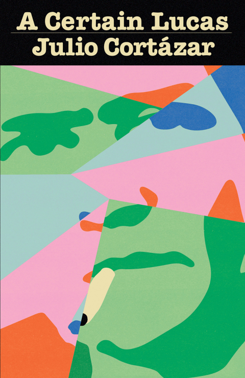 Cover image for book A Certain Lucas
