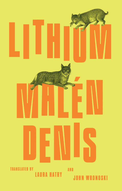 Cover image for book Lithium