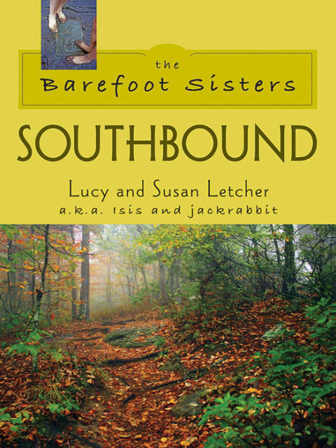 Cover image for book Barefoot Sisters Southbound