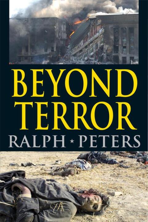 Cover image for book Beyond Terror