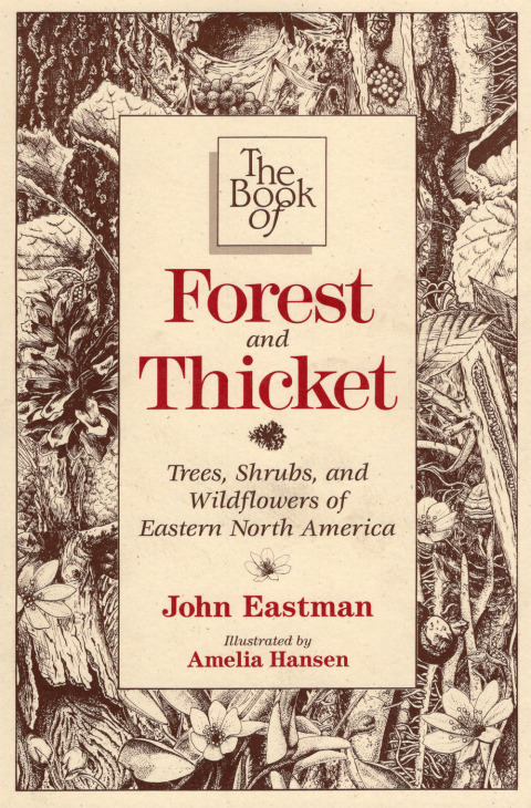 Cover image for book Book of Forest & Thicket