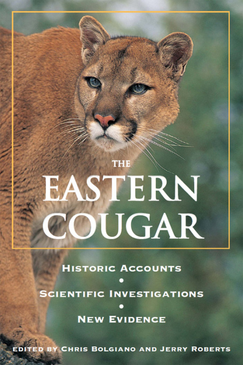 Cover image for book Eastern Cougar