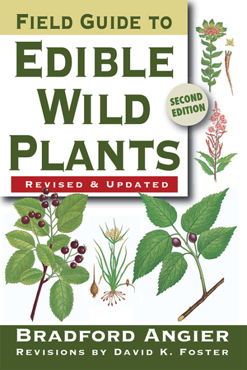 Cover image for book Field Guide to Edible Wild Plants