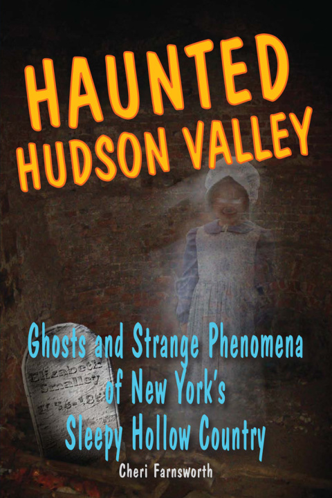 Cover image for book Haunted Hudson Valley