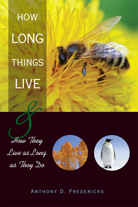 Cover image for book How Long Things Live