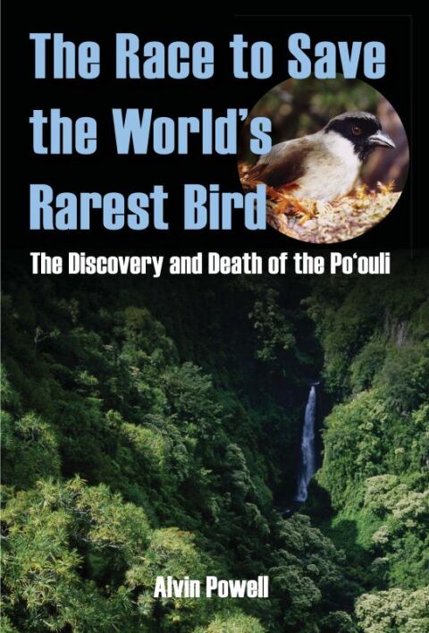 Cover image for book Race to Save the World's Rarest Bird