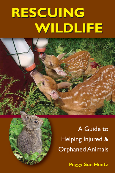 Cover image for book Rescuing Wildlife