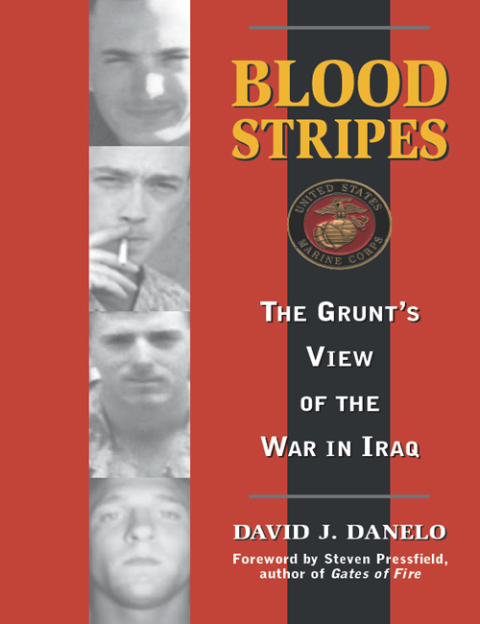 Cover image for book Blood Stripes