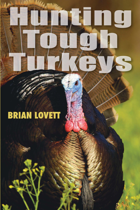 Cover image for book Hunting Tough Turkeys