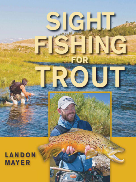 Cover image for book Sight Fishing for Trout
