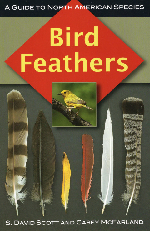 Cover image for book Bird Feathers