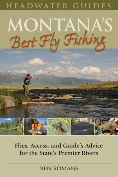 Cover image for book Montana's Best Fly Fishing