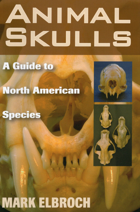 Animal Skulls 